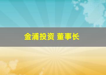 金浦投资 董事长